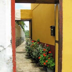 Bloemen ingang huis Barlovento, La Palma