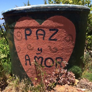 Paz y Amor, Las Tricias, La Palma Paz y Amor, Las Tricias, La Palma
