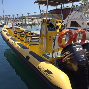Whale watching dinghy, Tazacorte, La Palma