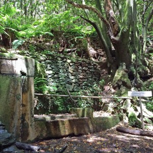 Water well La Zarza, walking on La Palma